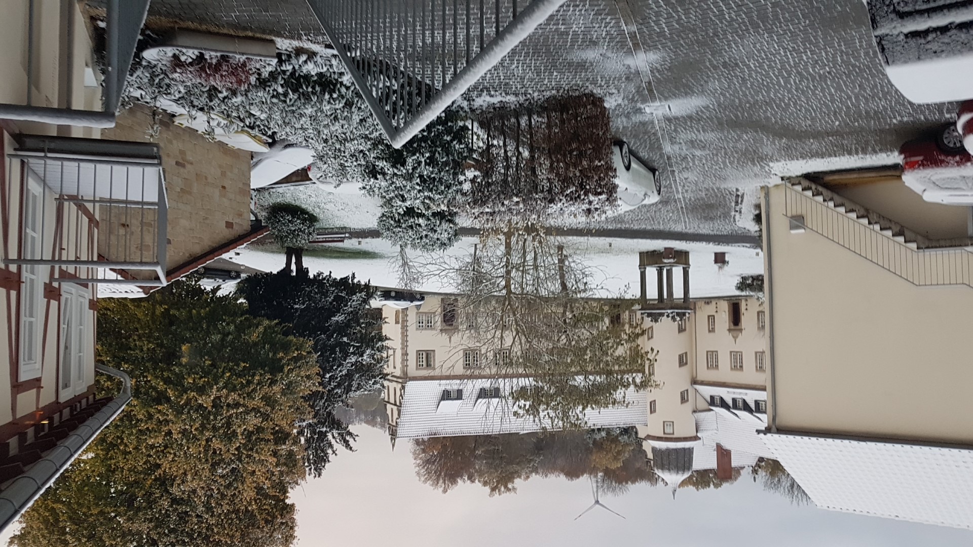 Buchenau_2022 (239).jpg